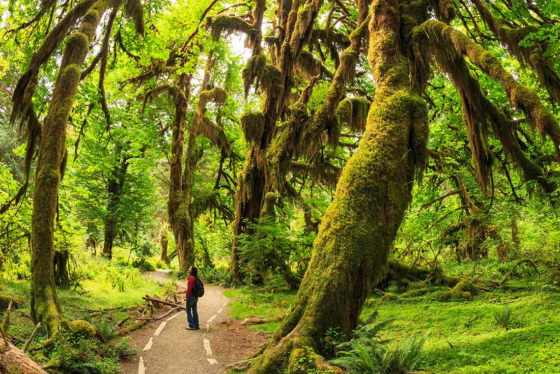 Pacific Northwest Tour Package - 9 Days